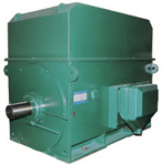 YTM、YHP、YMPS系列6KV磨煤機(jī)用電動機(jī)