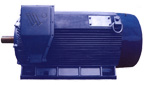 萬(wàn)高 YJK系列10KV、IP44（IP54）高壓電機(jī)