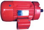 臥龍電氣 NEMA標(biāo)準(zhǔn)高效三相異步電動(dòng)機(jī)
