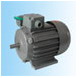 盟利電機(jī) YY系列單相電容運轉(zhuǎn)異步電動機(jī)