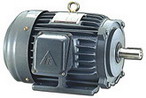東元 低壓三相感應(yīng)電動機(jī)（代理）