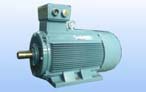 永發(fā) Y2系列（IP54）三相異步電動(dòng)機(jī)