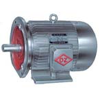 大中電機(jī) Y系列三相異步電動機(jī)
