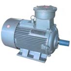 大中電機(jī) YB2系列三相異步電動機(jī)