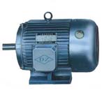 大中電機(jī) YDT系列異步電動機(jī)