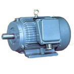 大中電機(jī) Y-H系列異步電動機(jī)
