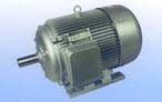 永發(fā)機電 YH系列（IP44）高轉(zhuǎn)差率三相異步電動機