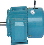 達(dá)順機(jī)電 YEJ系列倉儲專用電機(jī)