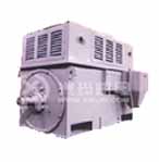 興瑪 6KV高壓三相異步電動機(jī)