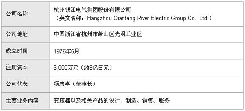 杭州錢江電氣集團(tuán)的公司簡(jiǎn)介