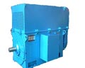 臥龍電氣 YKK、YKS系列中型高壓三相異步電動(dòng)機(jī)