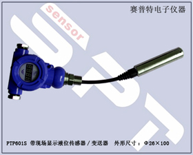 賽普特電子 PTP601S帶現場顯示投入式液位傳感器 