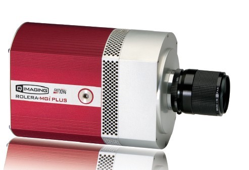 Rolera-MGi Plus—QImaging EMCCD科學(xué)相機 （雷得興業(yè)代理）